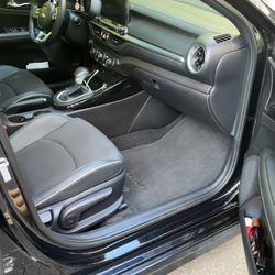 Scott’s Detailing - Interior detail w/ pet hair removal