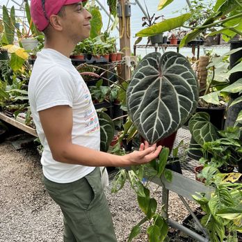 Plants Alive! - Nurseries & Gardening Near Me - Silver Spring, Maryland