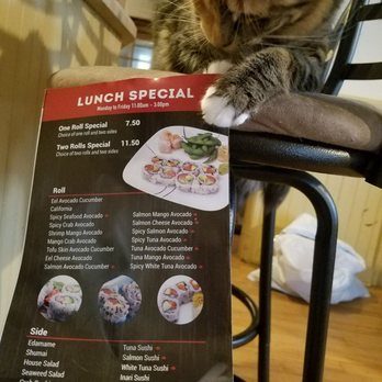 Avana Sushi - Avana share the lunch special with him - Japanese Near Me - Boston, Massachusetts