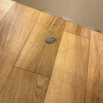 TJ MAXX - Updated August 2024 - 40 Photos & 70 Reviews - 9828 Great