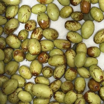 HN Mart Store - Jujube deliveried on Tuesday and it is picture on Friday. After 3 days. - Fruits & Veggies Near Me - Westminster, California HN Mart Store - Jujube deliveried on Tuesday and it is picture on Friday. After 3 days. - Fruits & Veggies Near Me - Westminster, California