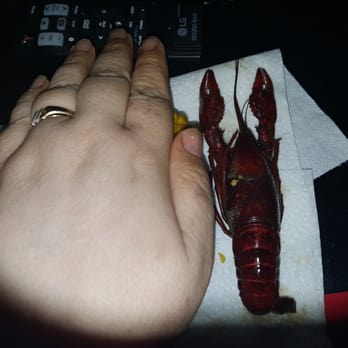 Pook's Crawfish Hole - The HUGE hand sized crawfish. They weren't all this big, but a lot of them were and the ones that weren't were still quite large. Impressed! - Seafood Near Me - Santa Fe, Texas Pook's Crawfish Hole - The HUGE hand sized crawfish. They weren't all this big, but a lot of them were and the ones that weren't were still quite large. Impressed! - Seafood Near Me - Santa Fe, Texas