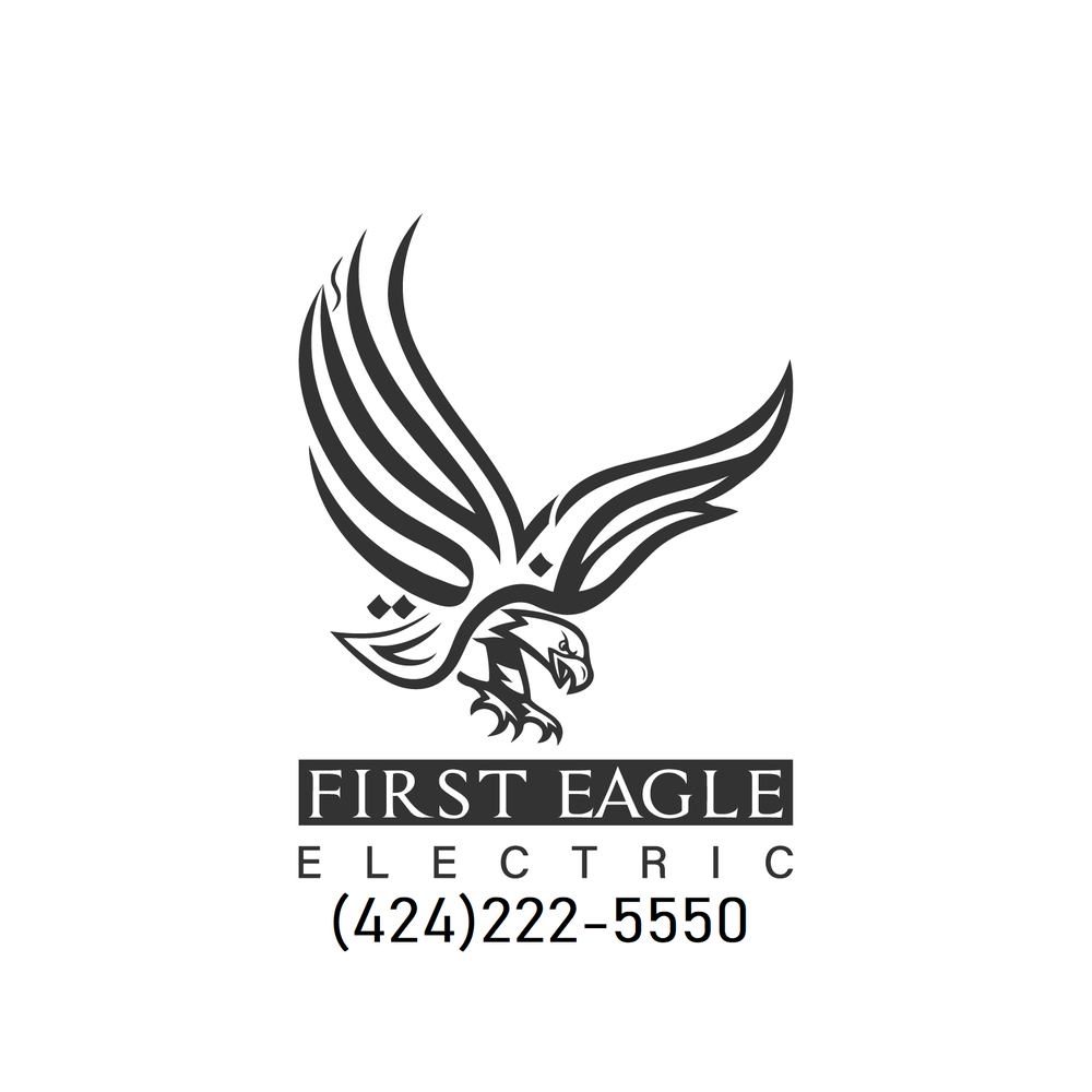Slide of First Eagle Electric