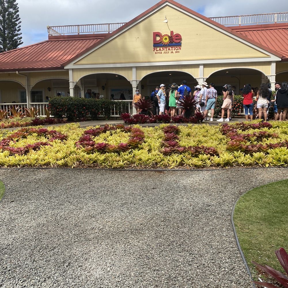 Go Tours Hawaii - Bus Tours Near Me - Honolulu, Hawaii
