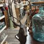 Photo of Antique Attic