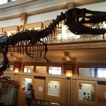 Musée Redpath - Museums Near Me - Montreal, Quebec