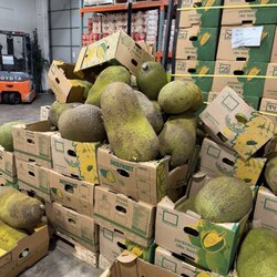Mo's Tropical Market - Jackfruit