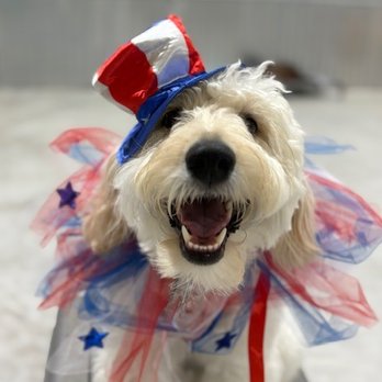 Wag-A-Holics - Pet Groomers Near Me - Seguin, Texas