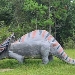 Dinosaurs In The Woods - Triceratops   08-19-2022