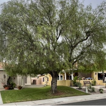 Jerry D’s Tree and lawn service - Massive undertaking by Jerry D 5 star service! 7/2021 - Tree Services Near Me Jerry D’s Tree and lawn service - Massive undertaking by Jerry D 5 star service! 7/2021 - Tree Services Near Me
