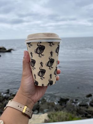 DODO BIRD Donuts by null