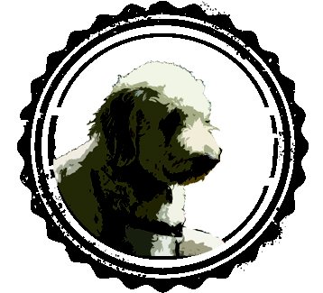 BarnDog Beard Oil Logo