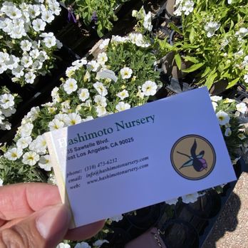 Hashimoto Nursery - Home & Garden Near Me - Los Angeles, California Hashimoto Nursery - Home & Garden Near Me - Los Angeles, California
