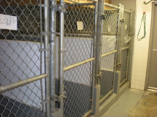 Animal Medical Center & Bird Clinic Of Hollywood by null