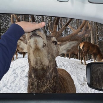 Parc Omega - Zoos Near Me - Montebello, Quebec