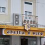 Photo of Abelha d'Ouro