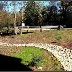 Padula's Plants & Gardens