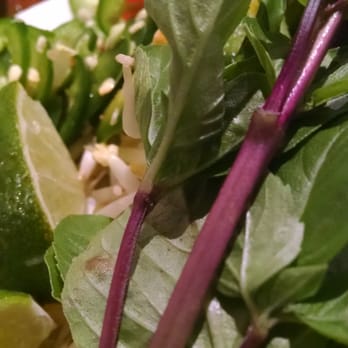 Pho Saigon - Vietnamese Near Me - Philadelphia, Pennsylvania Pho Saigon - Vietnamese Near Me - Philadelphia, Pennsylvania