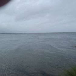 Springer's Point Preserve