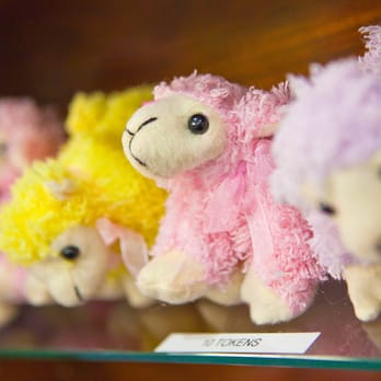 Align Orthodontics - Stuffed animal prizes that can be won when you collect tokens! - Orthodontists Near Me - Poway, California Align Orthodontics - Stuffed animal prizes that can be won when you collect tokens! - Orthodontists Near Me - Poway, California