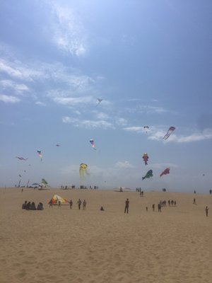 Kitty Hawk Kites by null