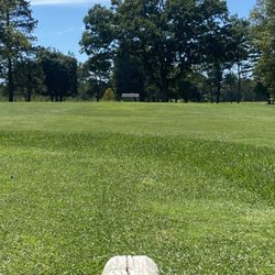 Cadillac Country Club - Someone went and planted a tree in the middle of the way.
