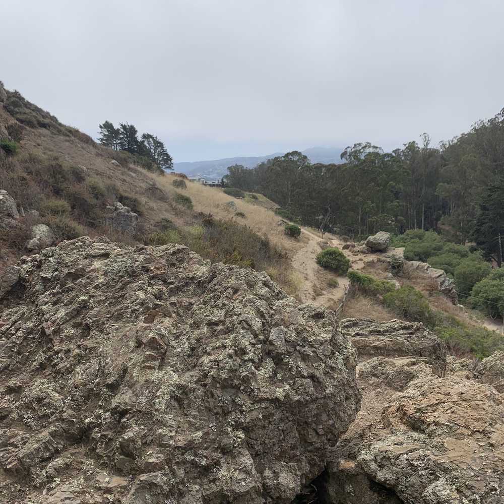 Glen Canyon Park - Glen Canyon Park 07.24.21|Saturday - Parks Near Me - San Francisco, California Glen Canyon Park - Glen Canyon Park 07.24.21|Saturday - Parks Near Me - San Francisco, California