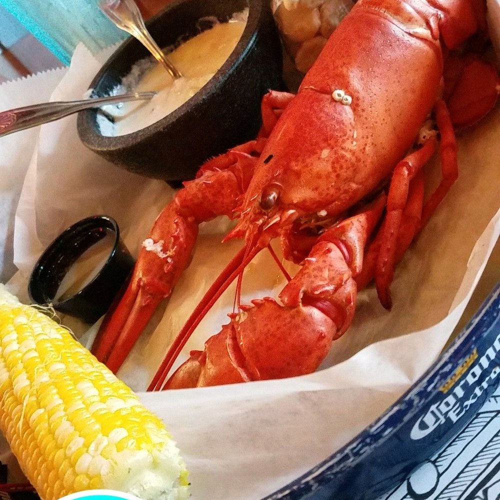 Geddy's - Lobster Meal - Seafood Near Me - Bar Harbor, Maine Geddy's - Lobster Meal - Seafood Near Me - Bar Harbor, Maine