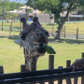 TULSA ZOO - Updated December 2025 - 551 Photos & 145 Reviews