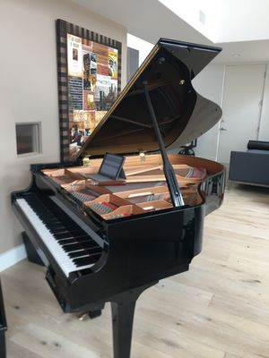 Exclusive Offer:$20 Discount and Free Polish or Pedal adjustment with a Tuning Appointment! - Anything you need, I've got you covered! Over 20 years experience in the industry. I go above and beyond to ensure you have a great experience with Dolce Piano!