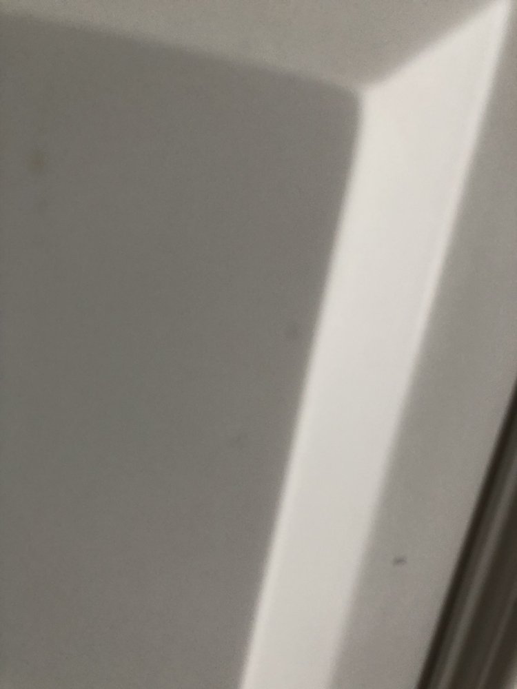 LOWRY’S ULTIMATE PAINTING Updated September 2024 12 Photos 2