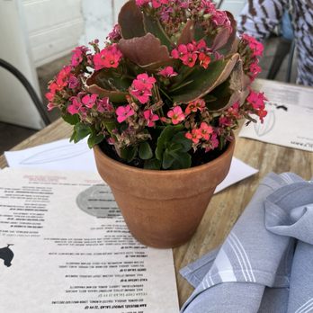 Malibu Farm Pier Cafe - Cafes Near Me - Malibu, California Malibu Farm Pier Cafe - Cafes Near Me - Malibu, California