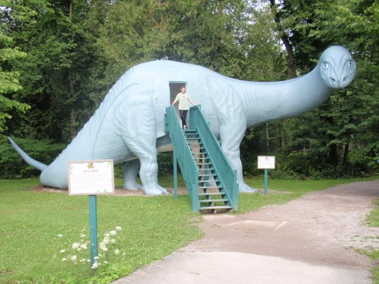 Dinosaur Gardens by null