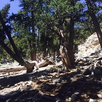 Mummy's Toe - Hiking Near Me - Mount Charleston, Nevada