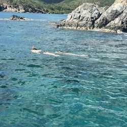 Local Mocean Charters - Snorkeling