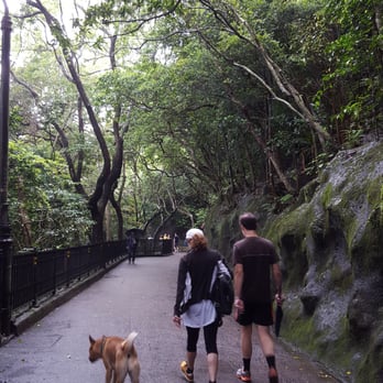 山頂環迴步行徑 - Hiking Near Me - Hong Kong, HK