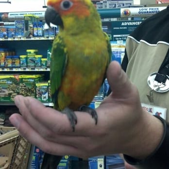 Petco - $600 - Pet Training Near Me - Beaumont, California
