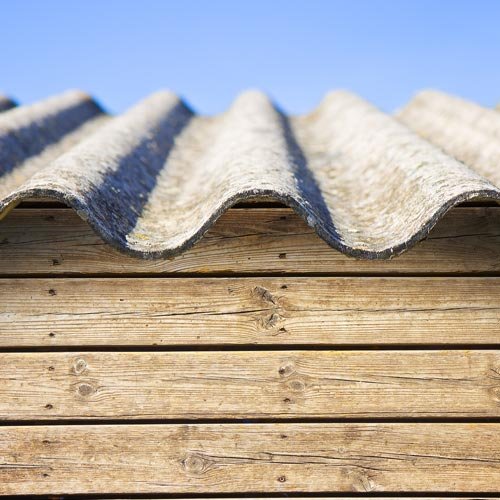 Lazz Environmental - mold inspector in Wappingers Falls, NY