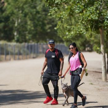 K9 Legacy - Pet Training Near Me - Santa Clarita, California K9 Legacy - Pet Training Near Me - Santa Clarita, California