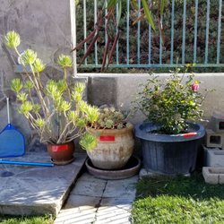 Santa Clarita Free Classified