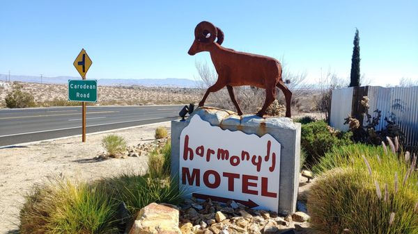 Harmony Motel by null