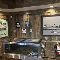 Red Lobster - Lobster tank/ wall decor