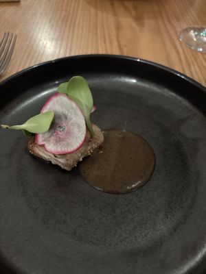 Maude & the Bear by null