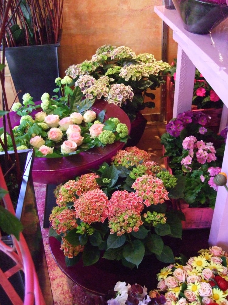 BLUMEN W. FRITZEN Updated August 2024 24, München