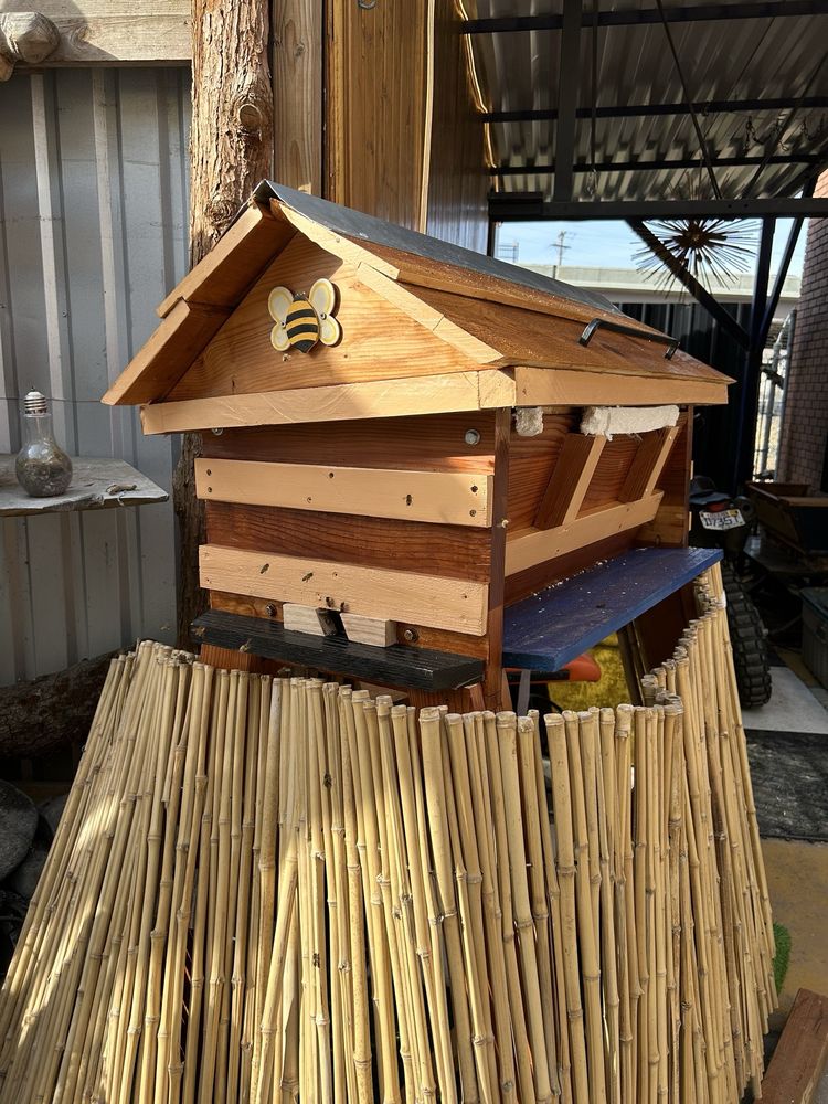 Beez Hives & Honey - beekeeping in Salt Lake City, UT