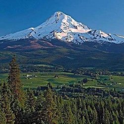 MT Hood Taxi - Mt Hood