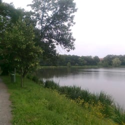 Počernický rybník - Počernický rybník