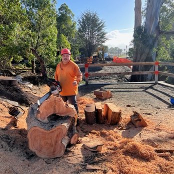 Oscar's Tree Service - Tree Services Near Me Oscar's Tree Service - Tree Services Near Me