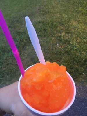 Robears Snowballs & Soft Serve by null