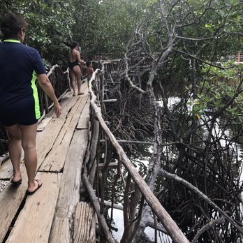 Coron Islands - Bridges going to the Hot Springs - Beaches Near Me Coron Islands - Bridges going to the Hot Springs - Beaches Near Me